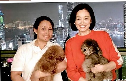 高圆圆低调发光，颜值才华双在线，公益满满暖人心✨