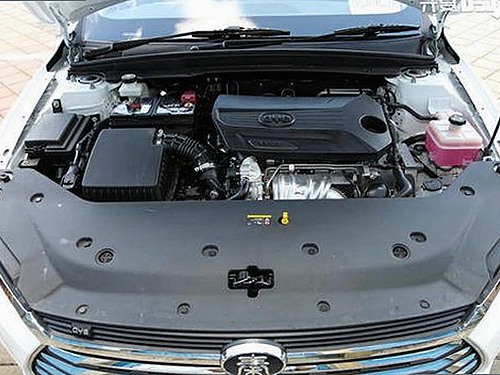 娱乐圈恋情官宣与甘肃吃瓜风潮全解析