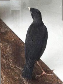 从爆料到热议：娱乐圈吃瓜事件时间线大揭秘🍿