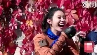 娱乐吃瓜酱从美食到娱乐圈的华丽转身引热议