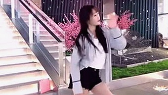 从恋爱小课堂到萌宠暖心秀，娱乐吃瓜圈的多彩日常大揭秘