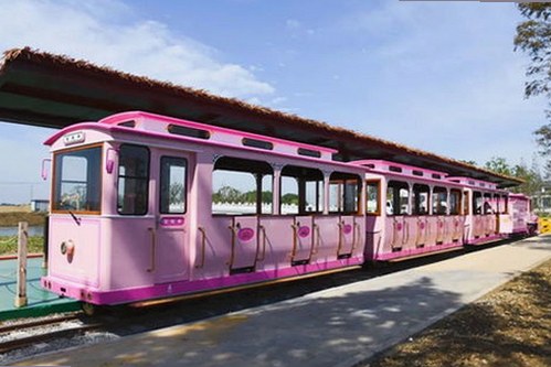 扬州副局长戴璐婚内出轨疑云：视频曝光引发热议，身份背景被深扒